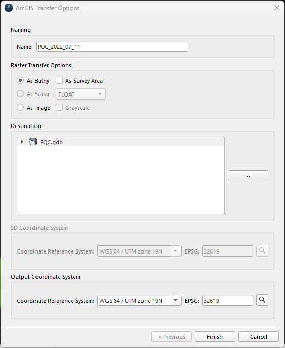 ArcGIS Transfer Options.png