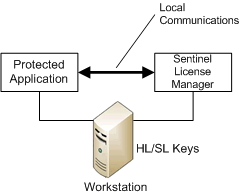 Network HASP.jpg