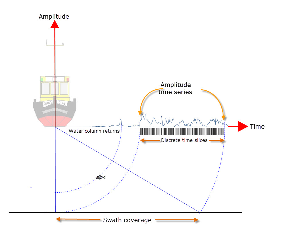 AmplitudeTimeSeriesGraph_fish.jpg