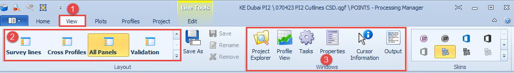 CSD_PM_ViewRibbonTab.jpg