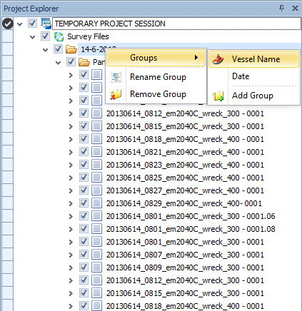 ProjectTreeGrouping.png