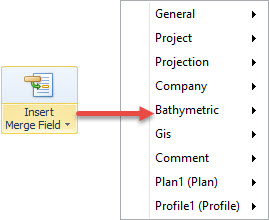 CSD_PM_Plot_InsertMergeFieldsText_Options.jpg