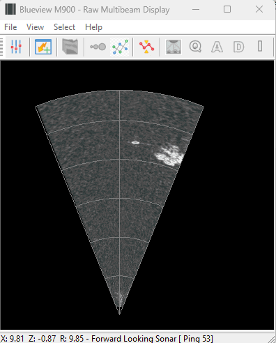 dsprawmultibeam_fls.gif