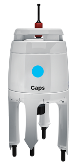 GAPS.png