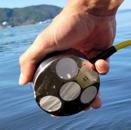 image-20230905-204948.png